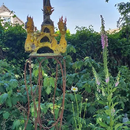 De Vliegende Vlinder Nederweert