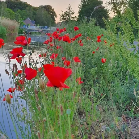 Panzió De Vliegende Vlinder *
