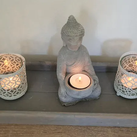 De Vliegende Vlinder *