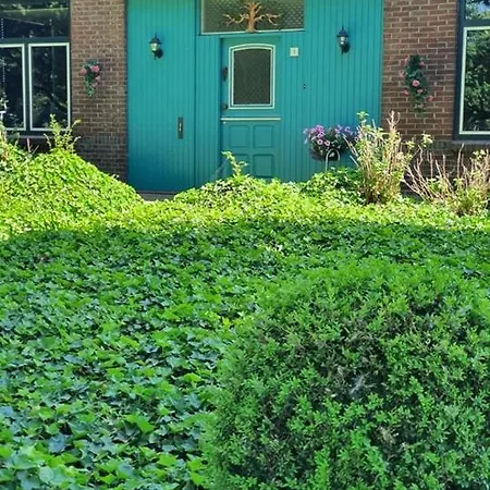 De Vliegende Vlinder Bed & Breakfast Nederweert