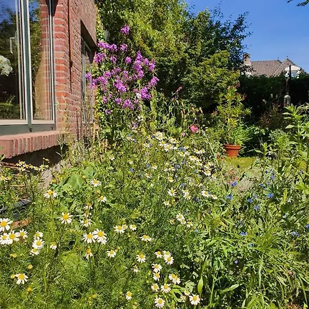 De Vliegende Vlinder Bed & Breakfast