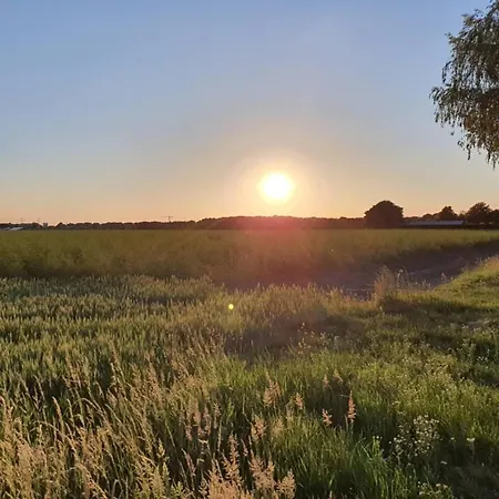 De Vliegende Vlinder Nederweert