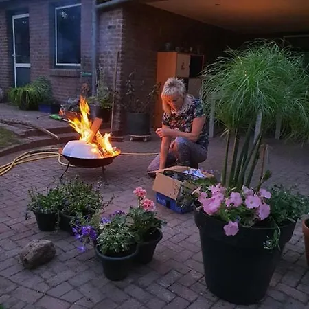 De Vliegende Vlinder *