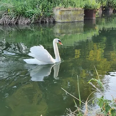 De Vliegende Vlinder Panzió *