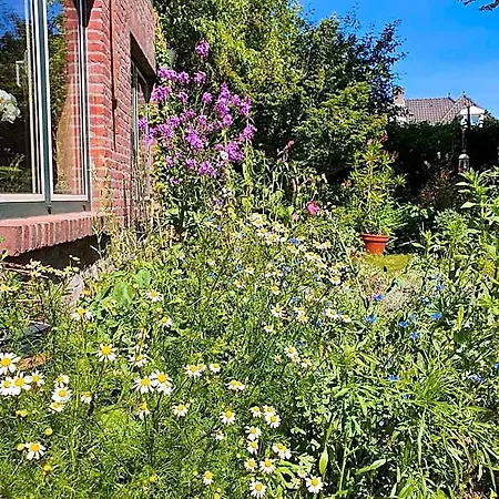 Bed & Breakfast De Vliegende Vlinder Nederweert