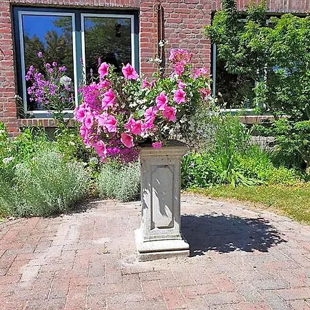 De Vliegende Vlinder Bed & Breakfast *