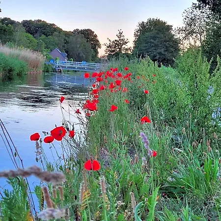 De Vliegende Vlinder Bed & Breakfast *