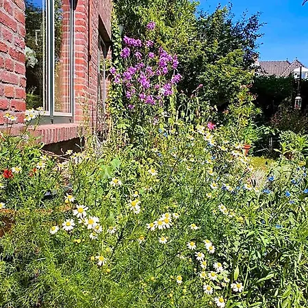 De Vliegende Vlinder Bed & Breakfast