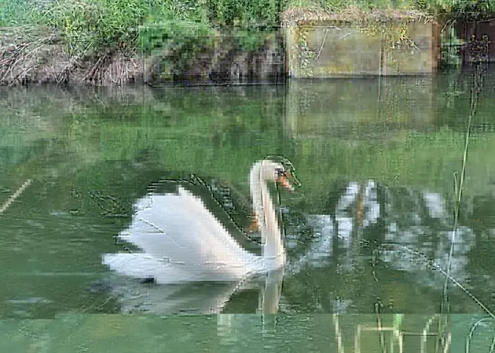 De Vliegende Vlinder Nederweert