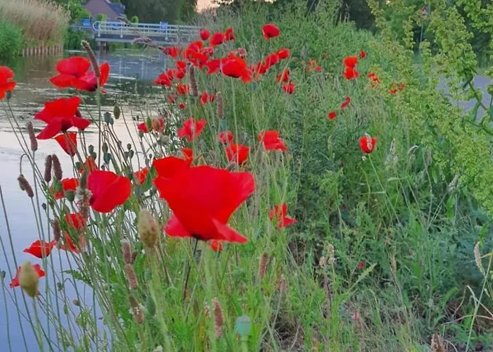 Alojamento de Acomodação e Pequeno-almoço De Vliegende Vlinder *