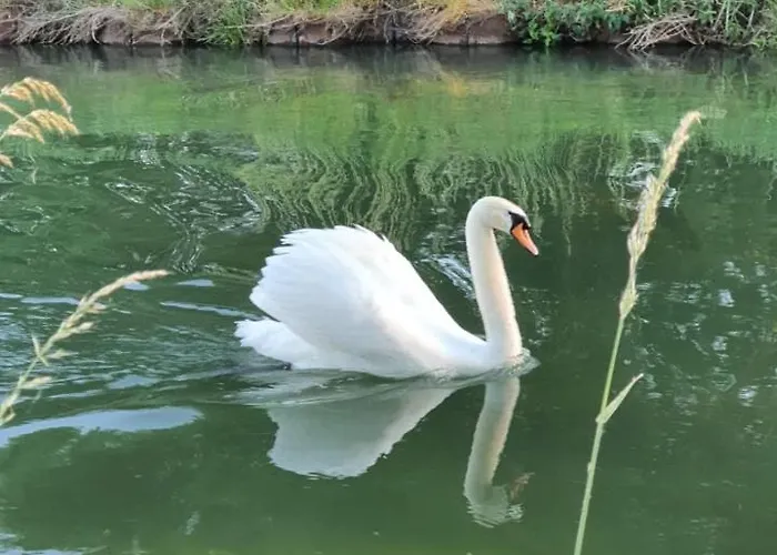 Alojamento de Acomodação e Pequeno-almoço De Vliegende Vlinder