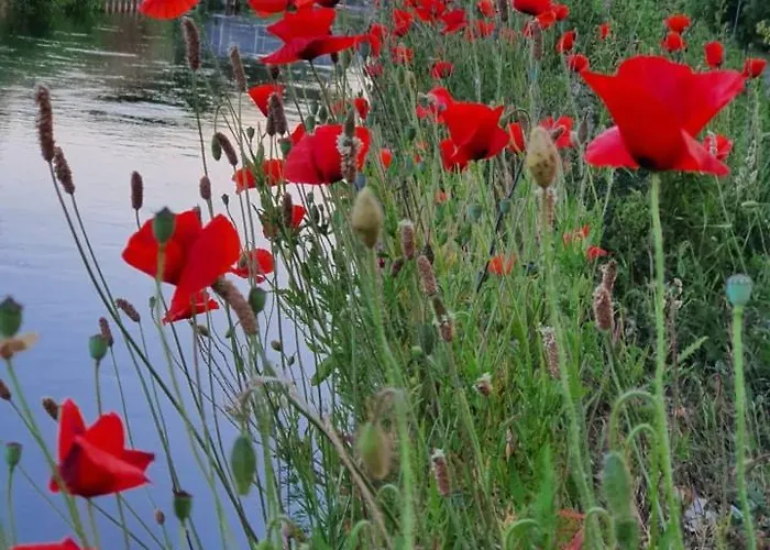 De Vliegende Vlinder