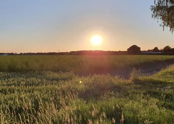 De Vliegende Vlinder Nederweert