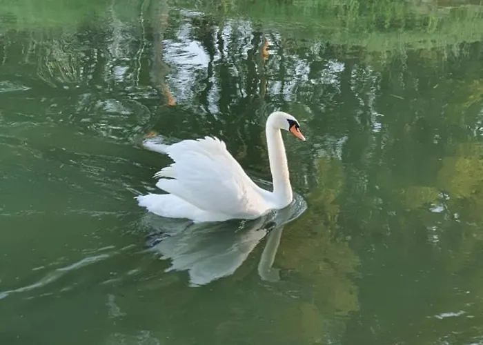 De Vliegende Vlinder Alojamento de Acomodação e Pequeno-almoço