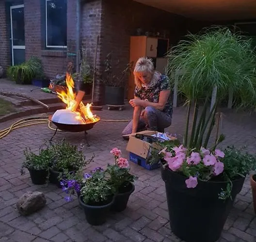 De Vliegende Vlinder *