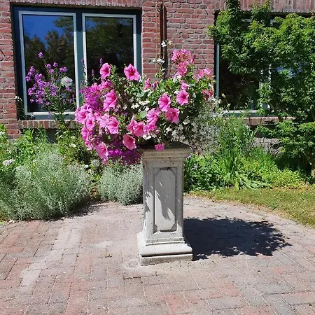 فندق مبيت وإفطار De Vliegende Vlinder Nederweert