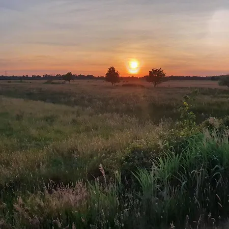 De Vliegende Vlinder فندق مبيت وإفطار Nederweert