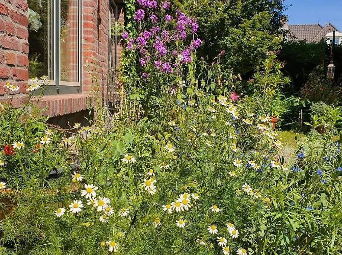 De Vliegende Vlinder Bed & Breakfast Nederweert