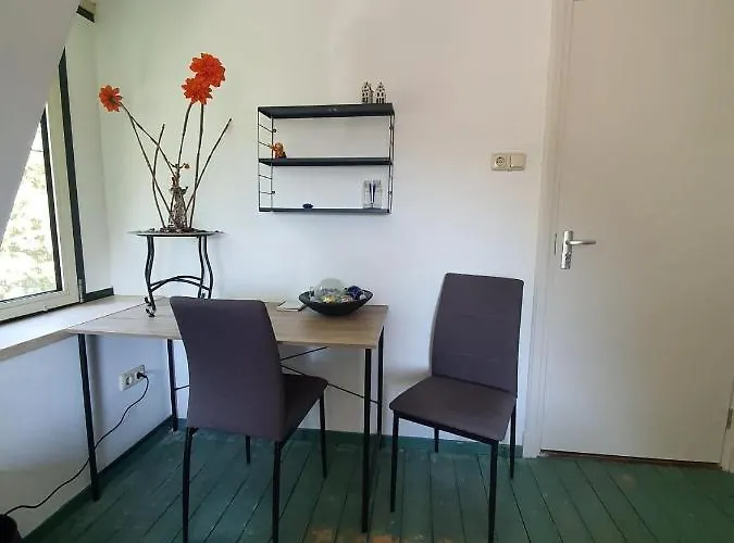 De Vliegende Vlinder *