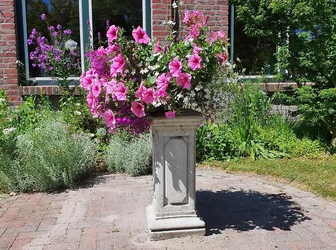 Bed & Breakfast De Vliegende Vlinder Nederweert