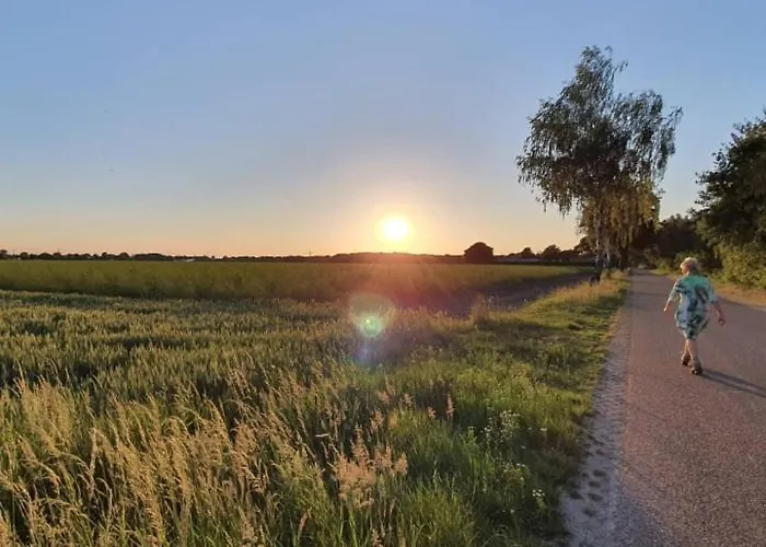 De Vliegende Vlinder