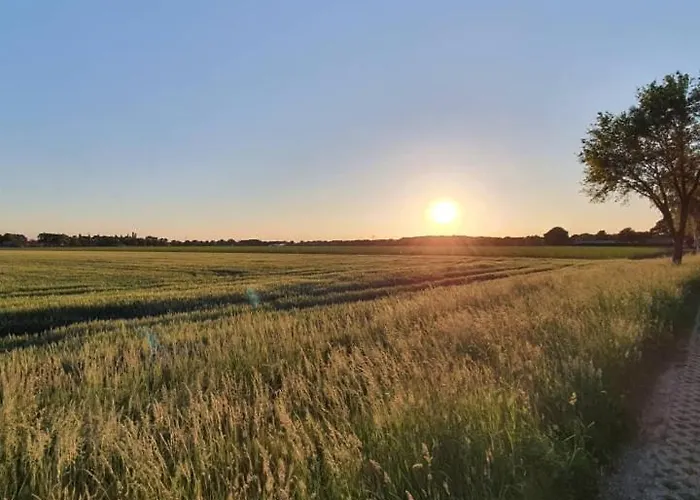 De Vliegende Vlinder Bed & Breakfast