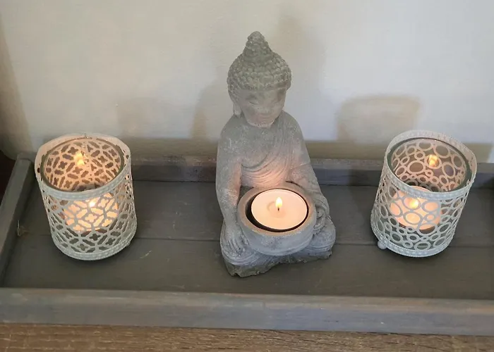 De Vliegende Vlinder *