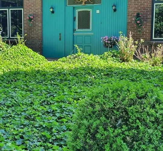 De Vliegende Vlinder Bed & Breakfast Nederweert