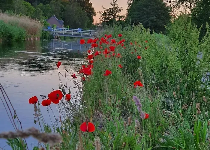 Bed & Breakfast De Vliegende Vlinder *