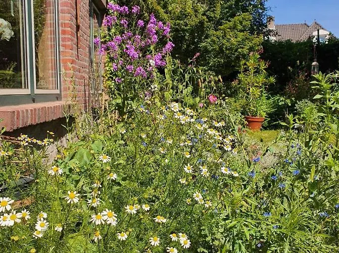 De Vliegende Vlinder Bed & Breakfast