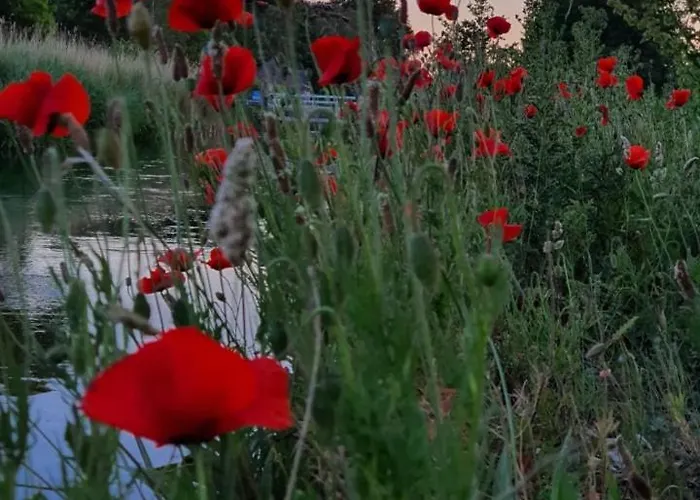 De Vliegende Vlinder Nederweert