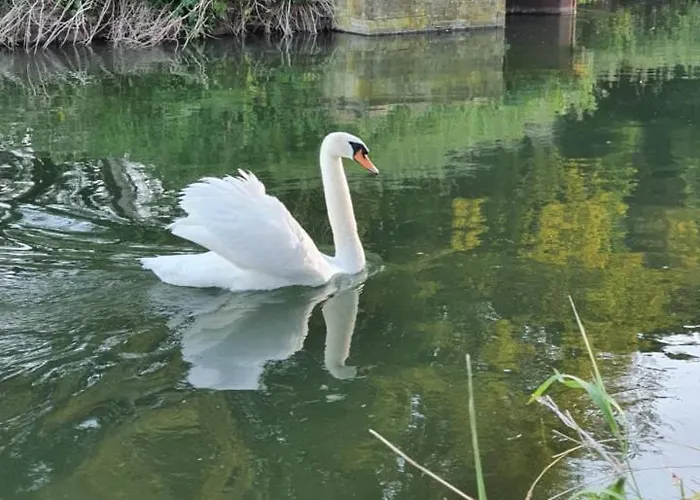 De Vliegende Vlinder Bed & Breakfast *