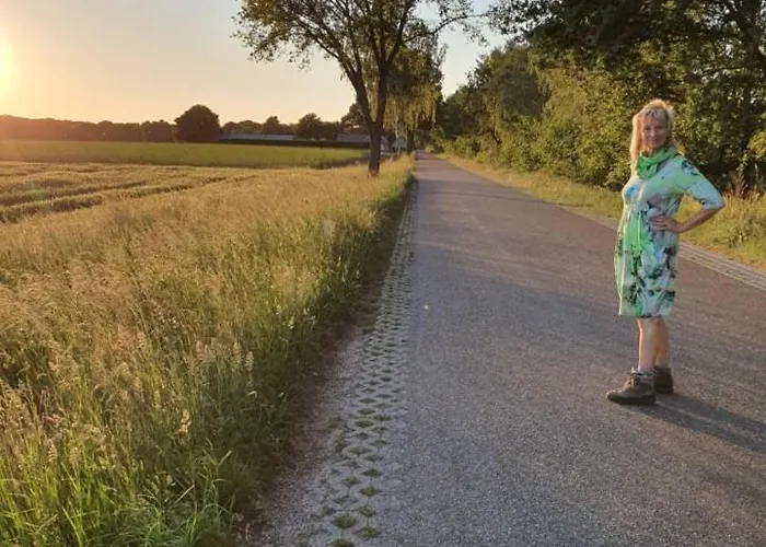 De Vliegende Vlinder Nederweert