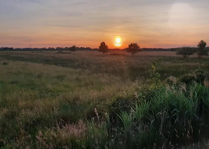 De Vliegende Vlinder Bed & Breakfast Nederweert